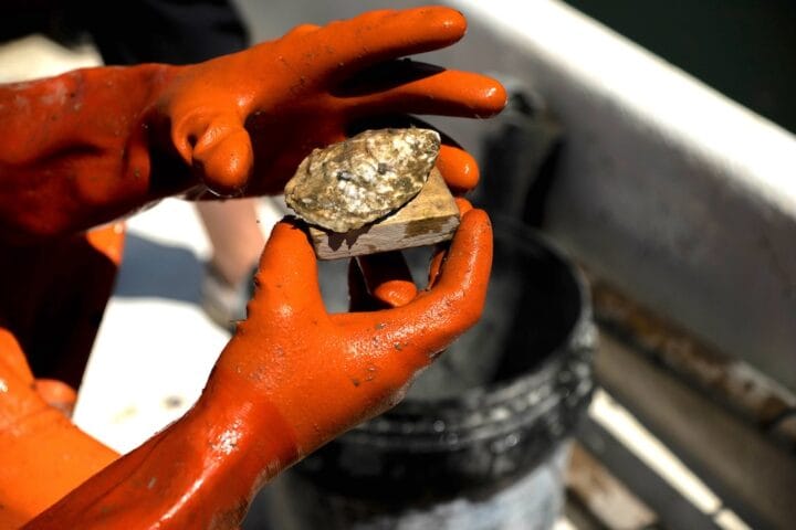 Maine Aquaculture Association to Present at MITA HQ on May 22