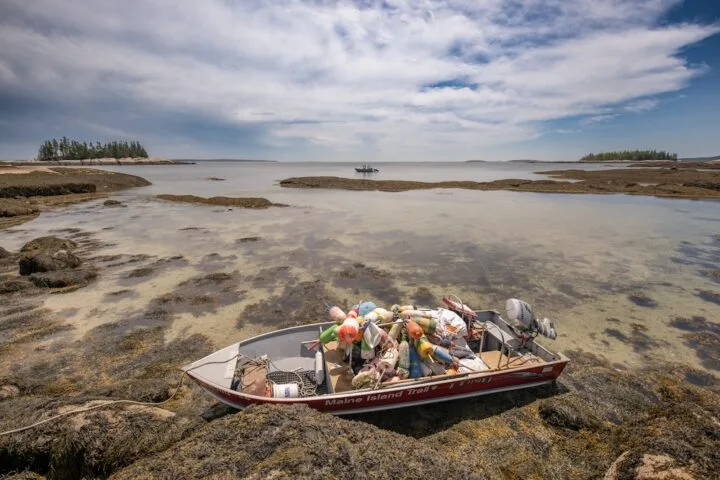 Fall Cleanup Registration Now Open