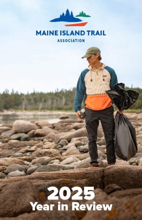 2025 Year in Review Now Available Online