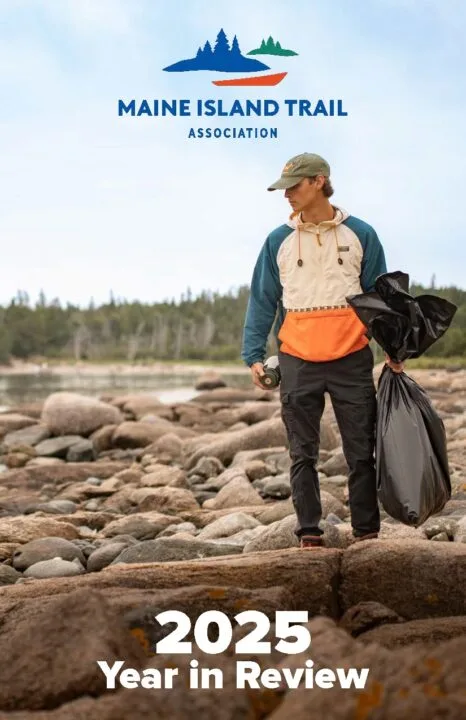 2025 Year in Review Now Available Online