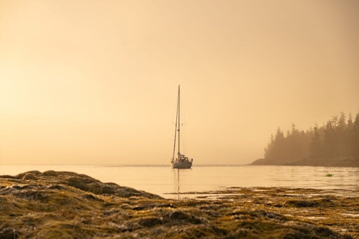 Intro to the Trail Webinar