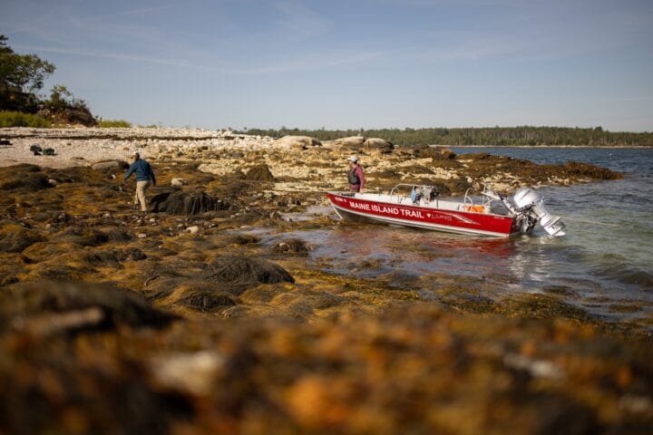 Now Hiring: Membership and Donor Database Manager